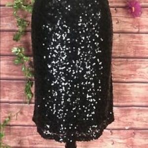 Lane Bryant Skirts - LANE BRYANT PLUS SIZE SEQUINS SKIRT Lane Bryant Skirts - LANE BRYANT PLUS SIZE SEQUINS SKIRT